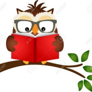 TOEFL Preparation 3